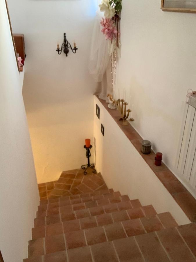 La Casa Dei Ricordi Διαμέρισμα Collesalvetti Εξωτερικό φωτογραφία