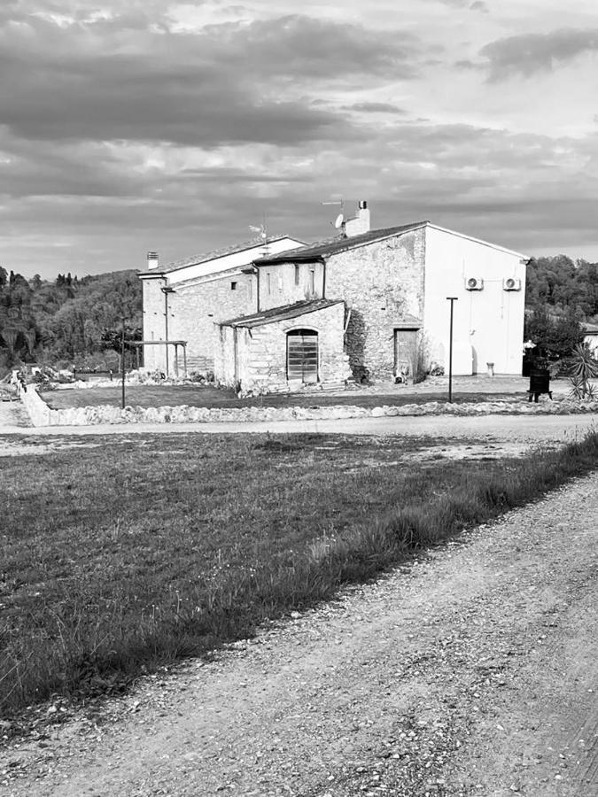 La Casa Dei Ricordi Διαμέρισμα Collesalvetti Εξωτερικό φωτογραφία